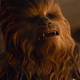 Chewie goes through some...stuff in this movie.